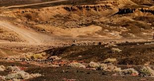 数据平台100万次英超夺冠模拟：利物浦居首，曼联仅夺冠163次